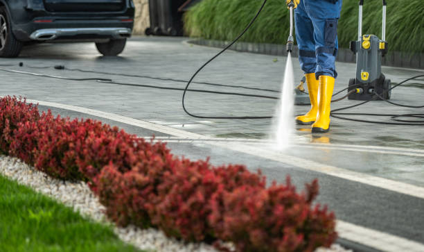 Trusted Borrego Springs, CA Pressure Washing Services Experts